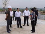 銅川市水務(wù)局領(lǐng)導(dǎo)考察澽水河生態(tài)治理項(xiàng)目