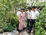 綠城景觀團隊到霸州伯爵山合院景觀項目參觀交流