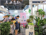 走進(jìn)植物，享受美好——花點(diǎn)園藝亮相第十二屆杭州文博會(huì)