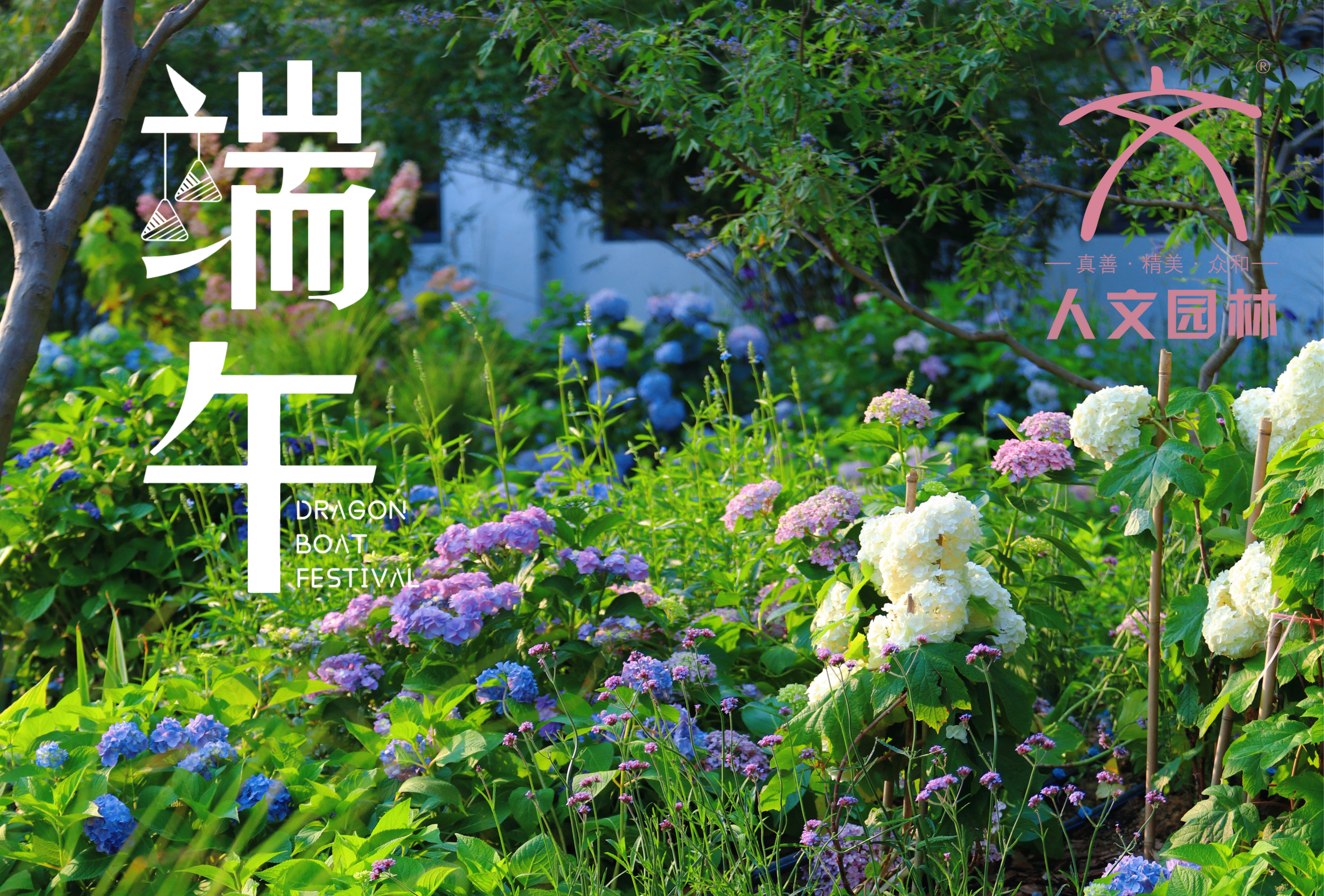 端午安康|與“花”相約，共賞佳節芬芳