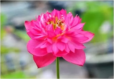 151081544911182217F2.png QQ圖片20171116145406.png