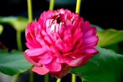 1510815632115604E16B.png QQ圖片20171116145519.png