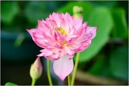 15108159308015095F9A.png QQ圖片20171116145426.png