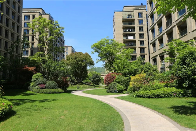 1535968171340725524B.jpg QQ圖片20180903174721.jpg