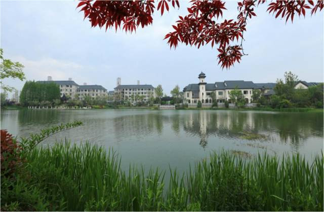 1535968216327041p14C.jpg QQ圖片20180903174836.jpg