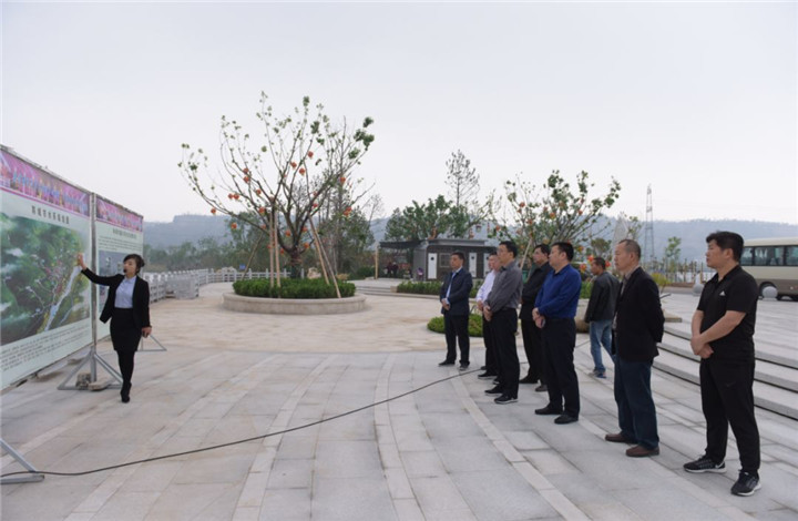 1536659363686313871B.jpg QQ圖片20180911174901.jpg