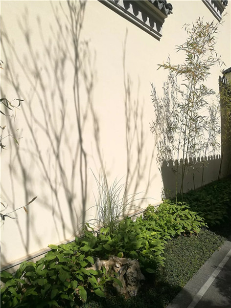 15368878311158412AC1.jpg QQ圖片20180914091244.jpg