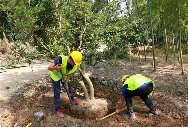 1536890892123587DF5C.jpg QQ圖片20180914095459.jpg