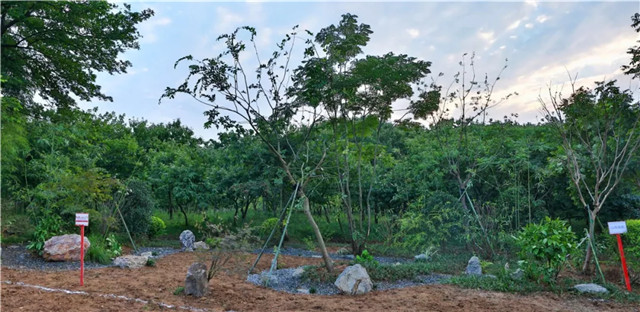 153689118492630256B5.jpg QQ圖片20180914100112.jpg