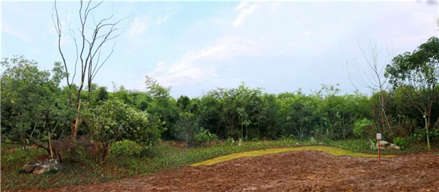 153689119712988788A5.jpg QQ圖片20180914100127.jpg