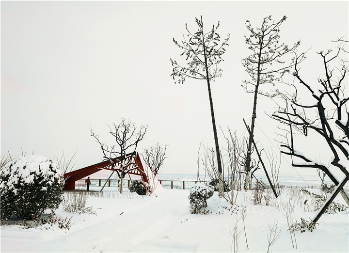 張俊捷-5.一點(diǎn)紅銹 2017-12-23  白紙黑墨再配上一筆暖色，構(gòu)成了一幅有韻味的畫面。耐候鋼與油松的高矮對(duì)比，奠定了畫面的平衡。.jpg