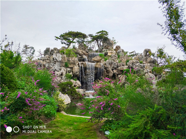 劉強(qiáng)-2 (2).jpg