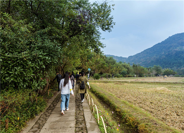 15417470144861736D9A.jpg 2.jpg