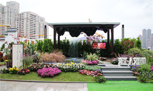 15417485061048643451.jpg 2.jpg