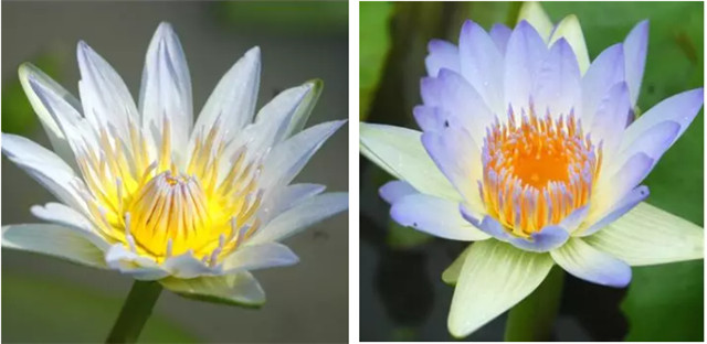 1545272912133475E039.jpg QQ圖片20181220102616.jpg