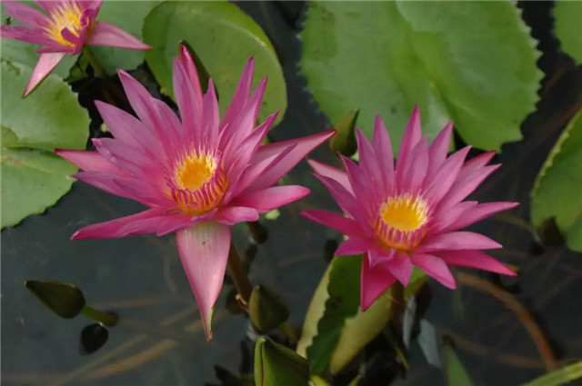 15452730056373864BD3.jpg QQ圖片20181220102539.jpg