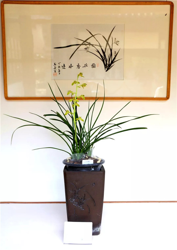 1557303497133566B950.jpg QQ圖片20190508161258.jpg