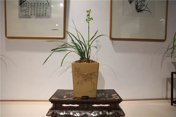 1557303507783178E052.jpg QQ圖片20190508161309.jpg