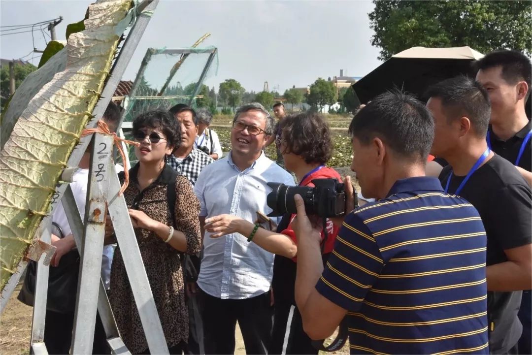 1658453305129955C1C0.jpg 640 (1).jpg